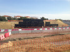 Cimbra común Cimbra común